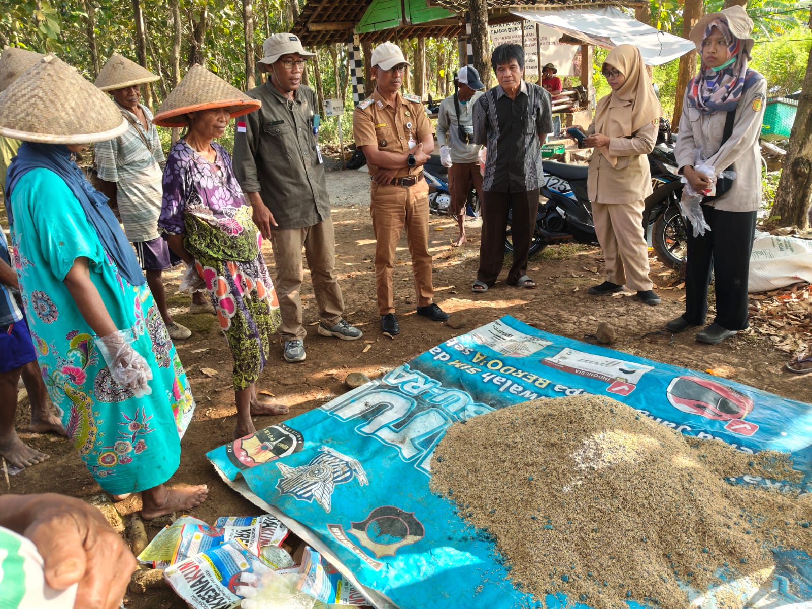 BPP Purworejo Gelar Gerdal Tikus Susulan di Cangkreplor, Amankan Produksi Padi MT II