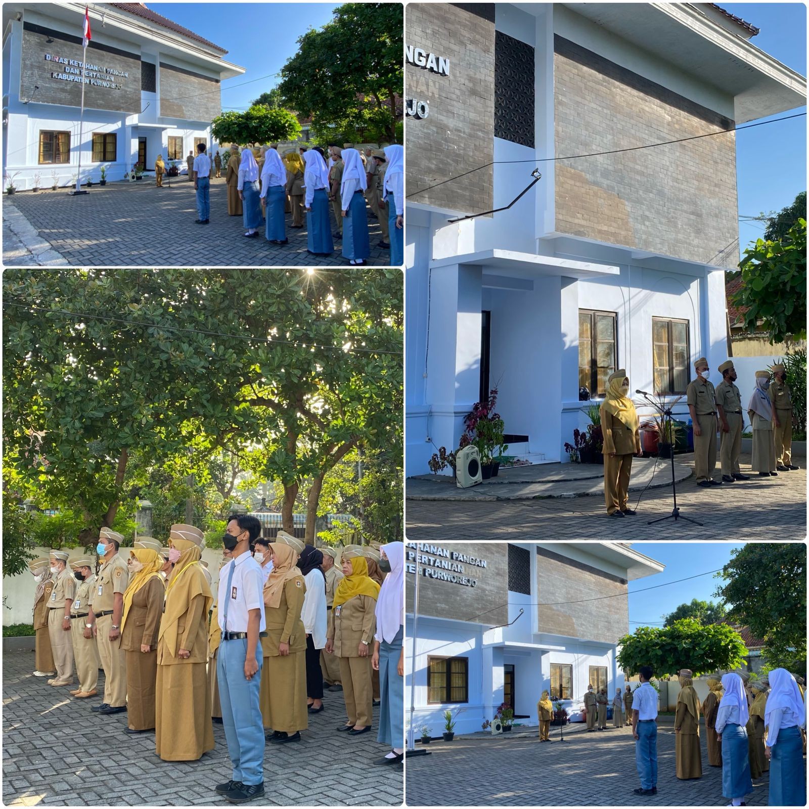 APel_pagi.jpg