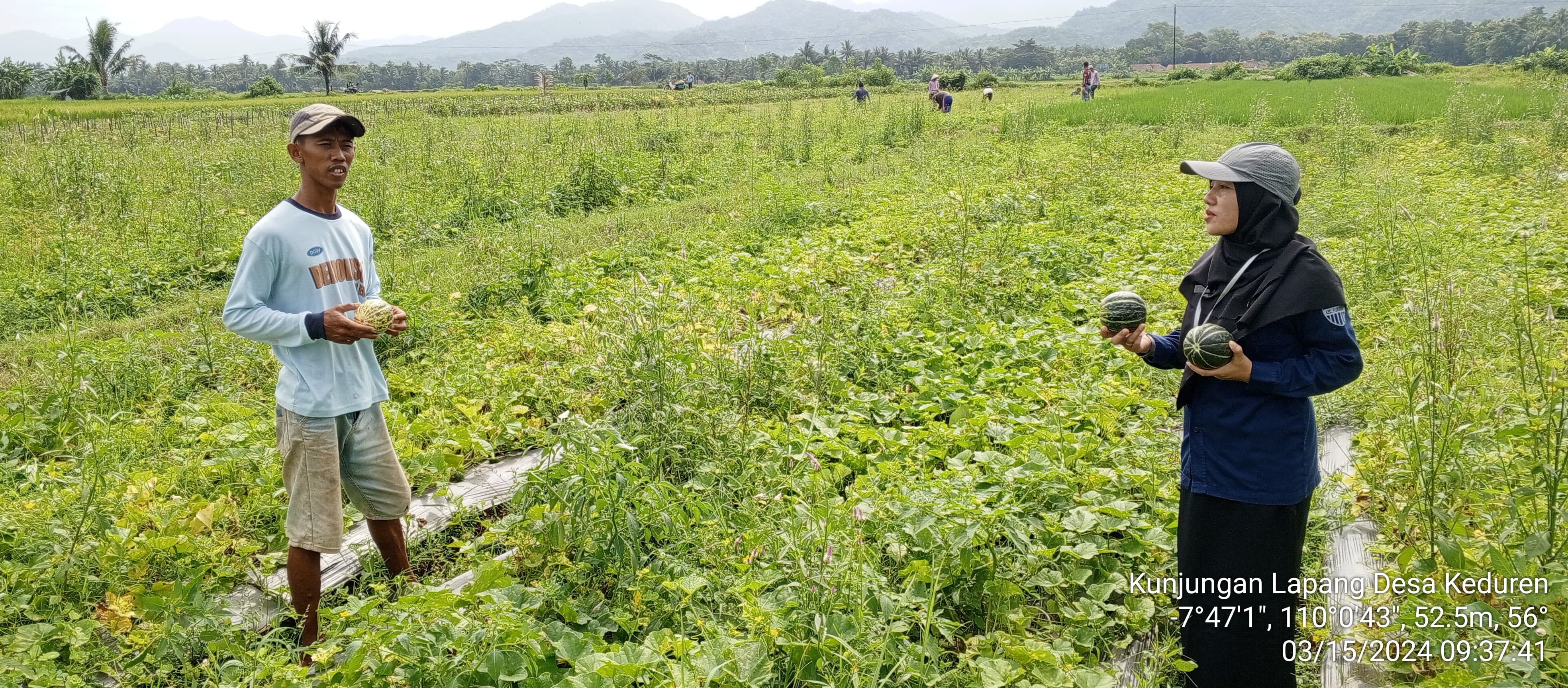 BUDIDAYA BLEWAH MEMBAWA BERKAH
