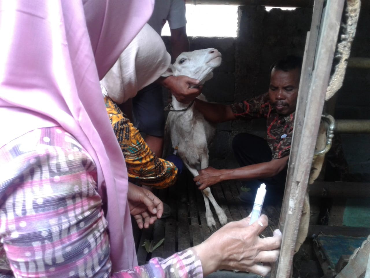 Bu_titik.jpg