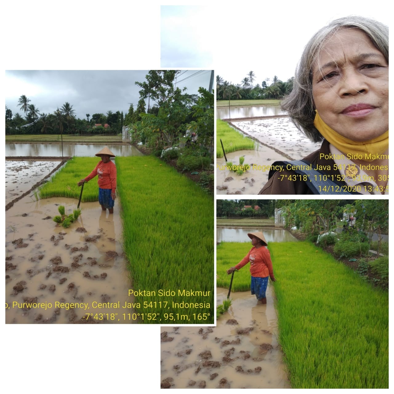 Kunjungan ke Kelompok Tani binaan