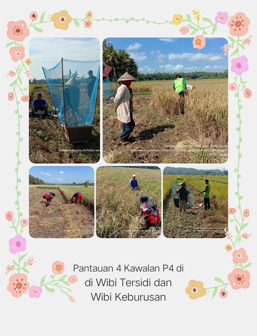 Pemantauan dan Pengawalan kepada Kelompok Tani