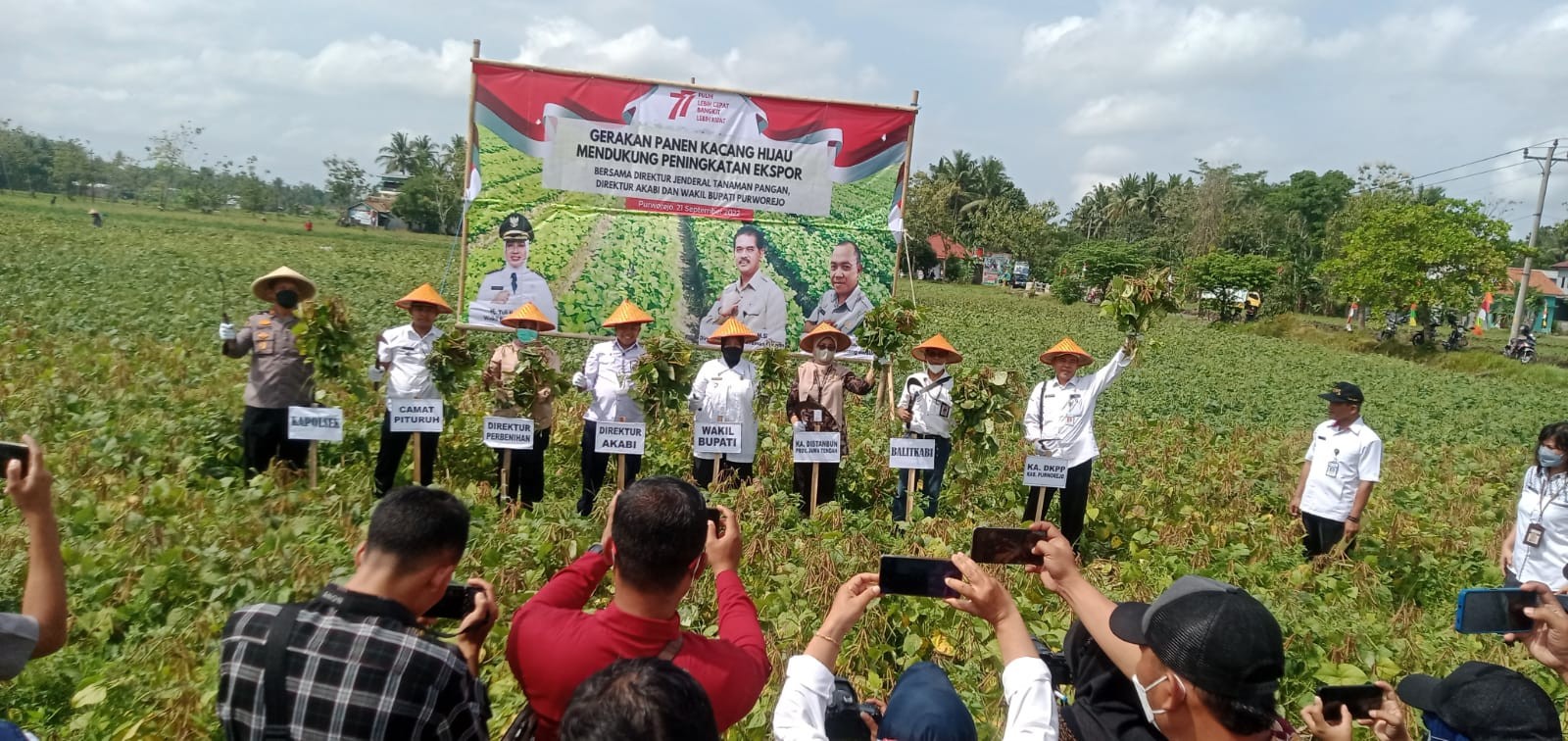 Kacang_Hijau3.jpg