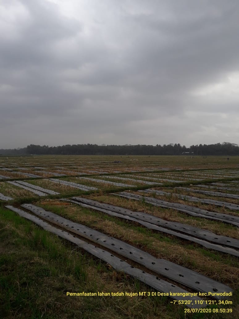 Karanganyar.jpg