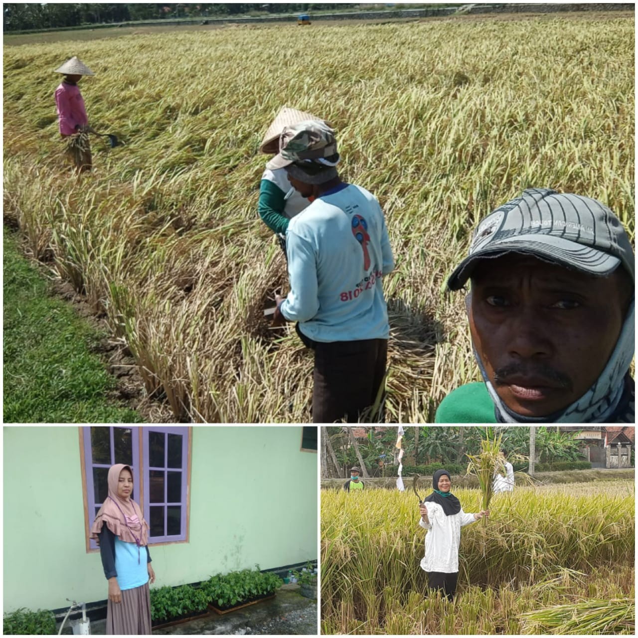 Mapan.jpg