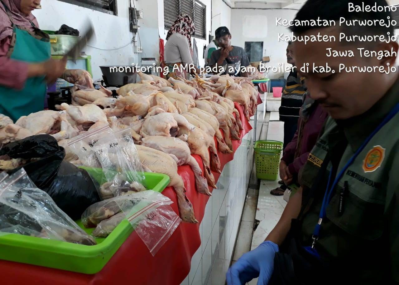 Mbak_Dartik.jpg
