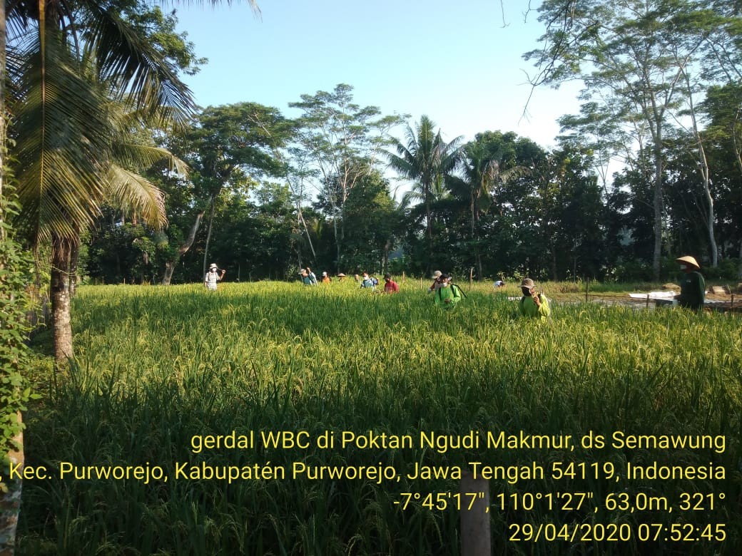 Ngudi_Makmur.jpg