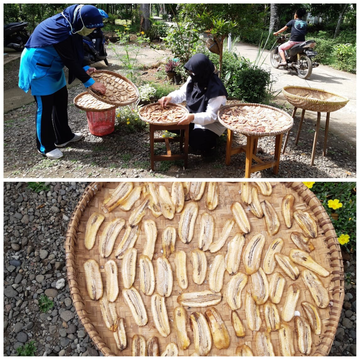 Pisang.jpg
