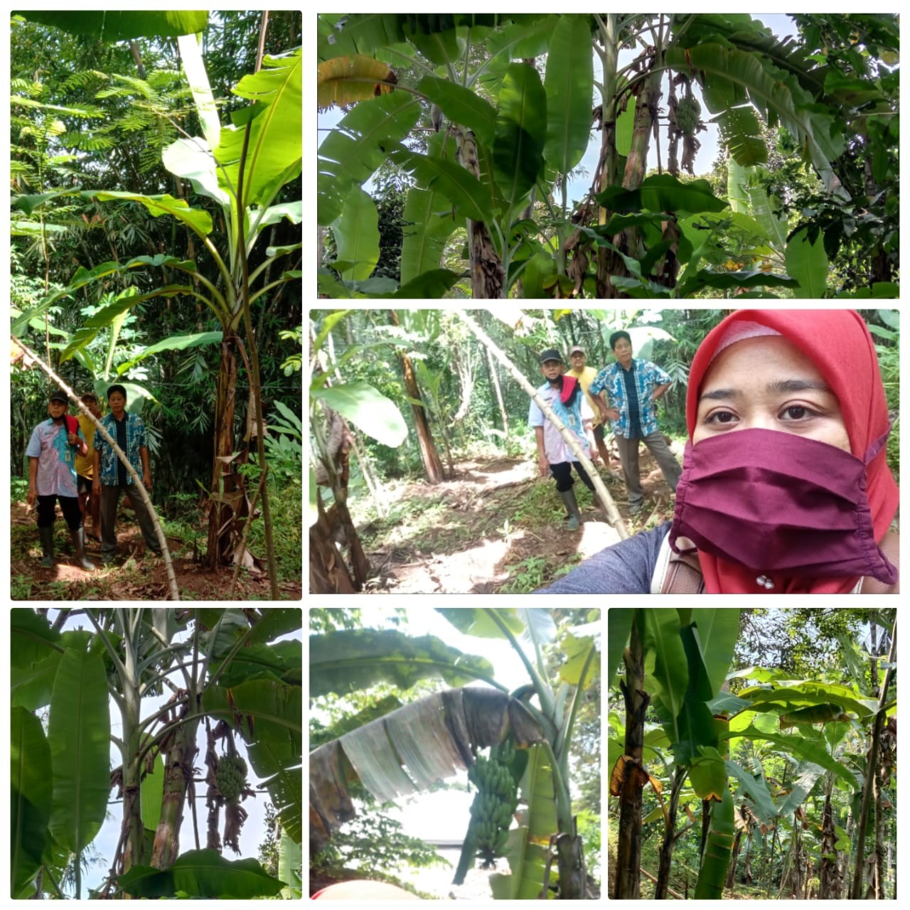 Woro_Bener.jpg