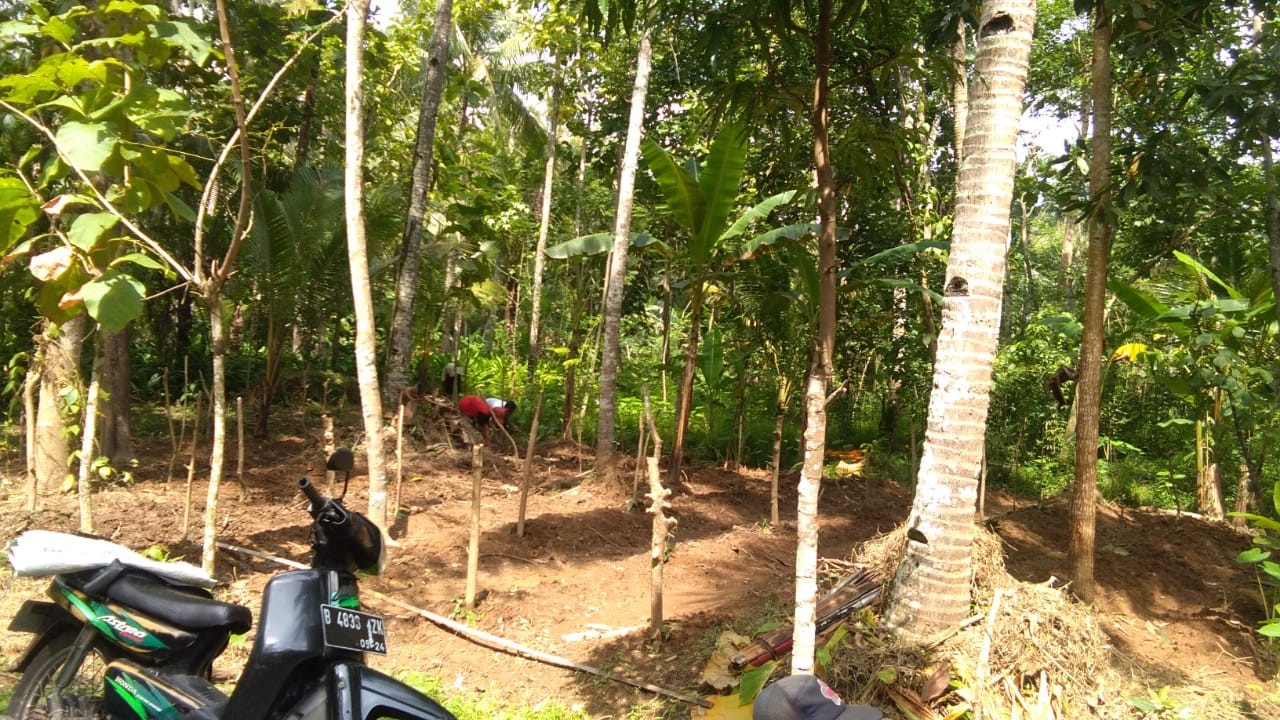 cabe_jawa.jpg