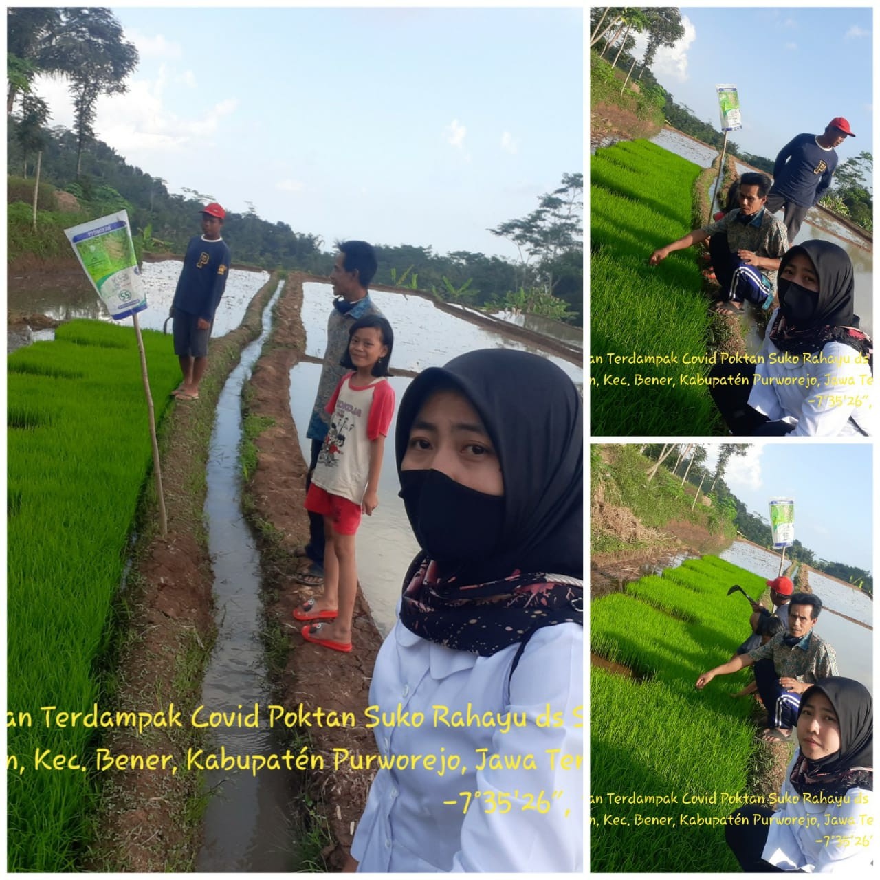 copet.jpg