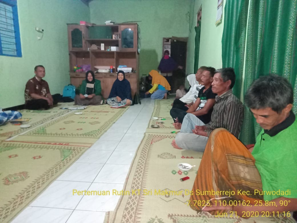 desty2.jpg