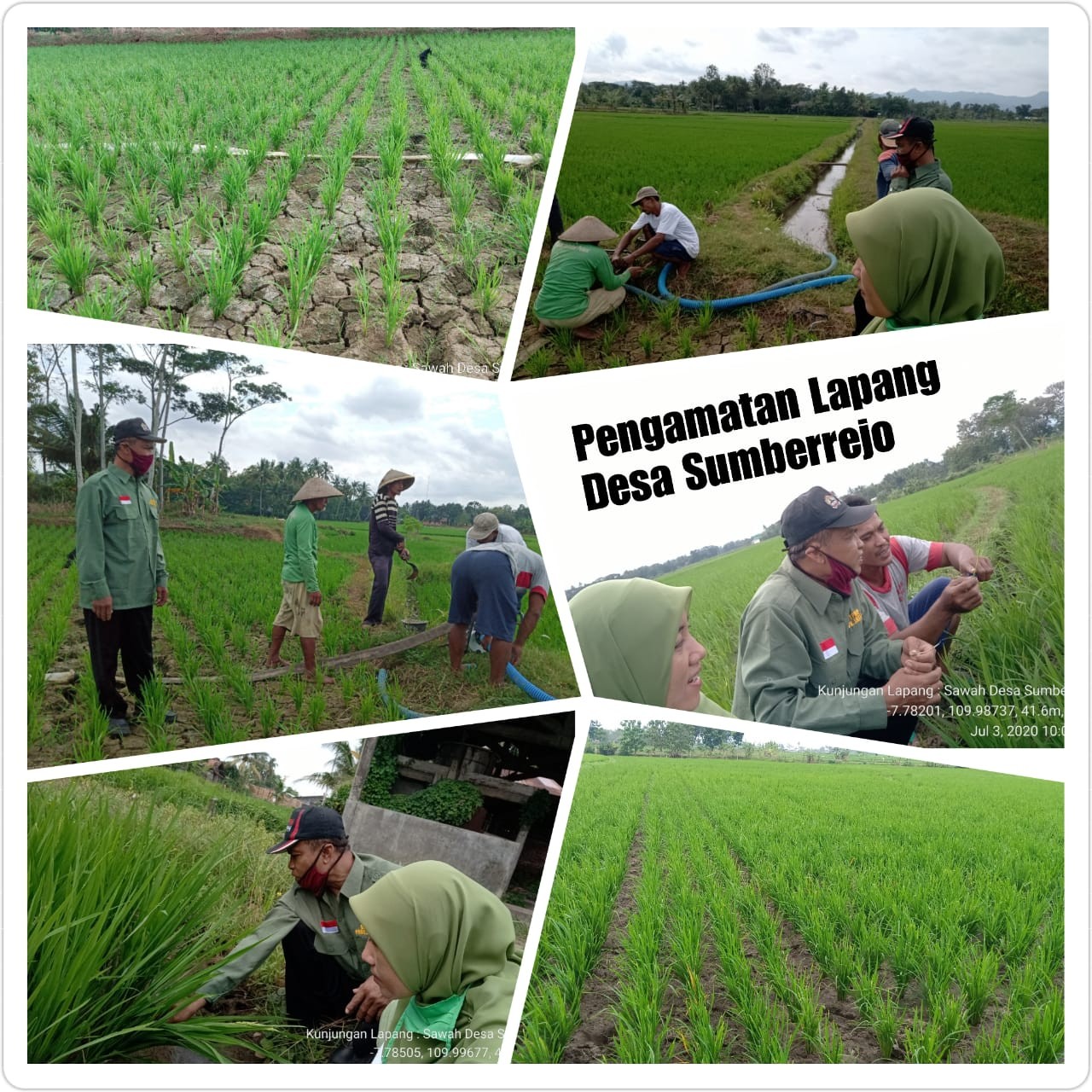 desty3.jpg