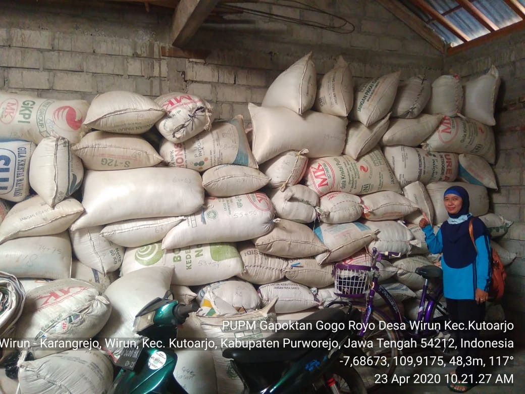 gogo.jpg