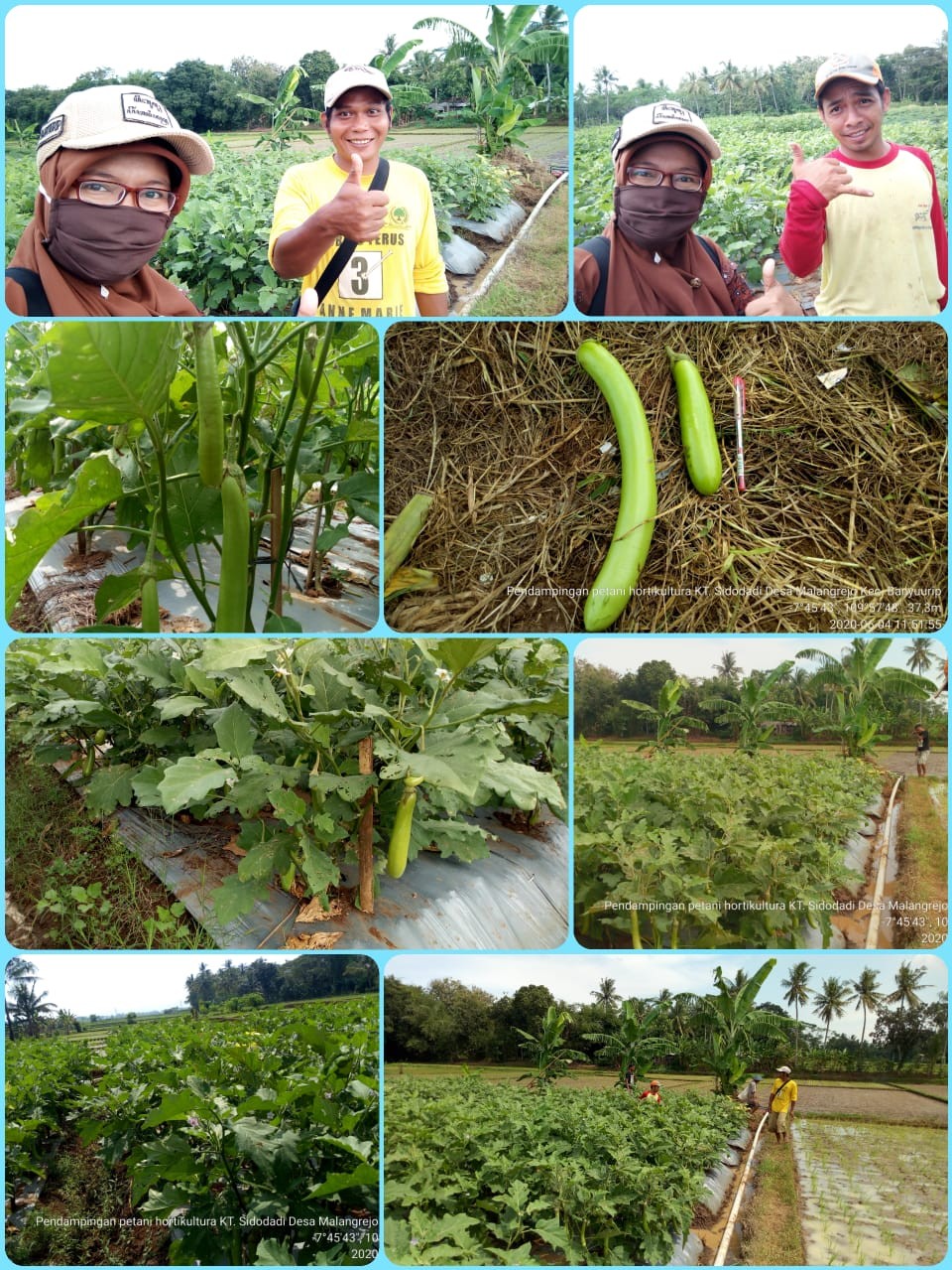 horti.jpg