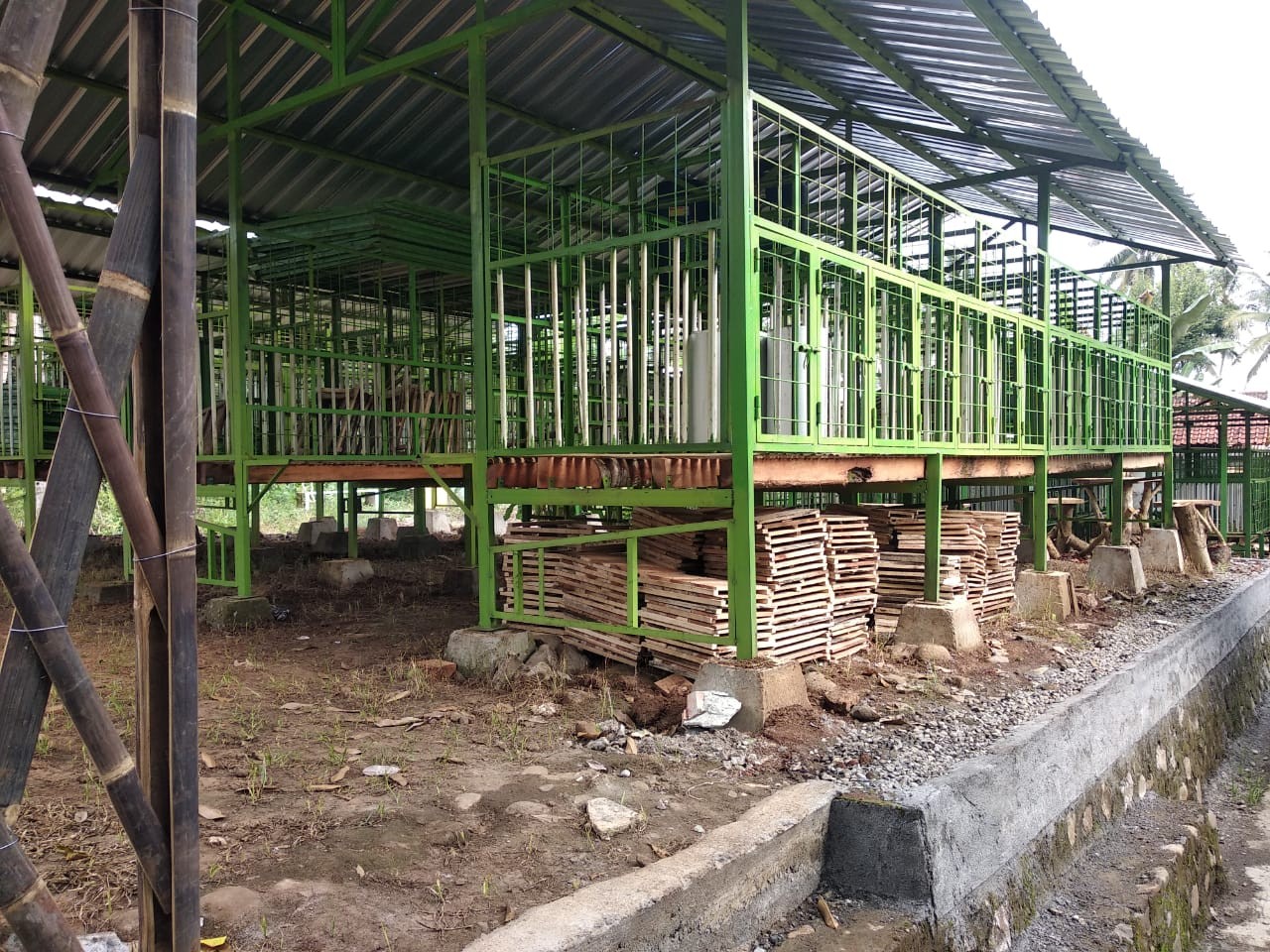 kandang.jpg