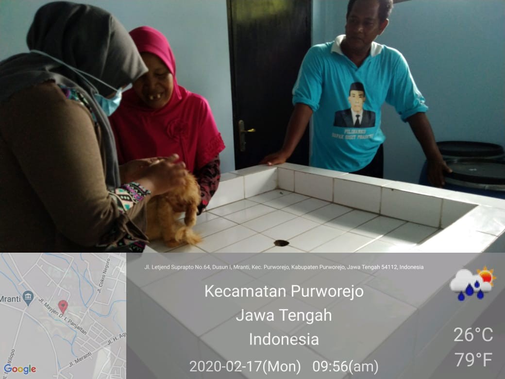 kucing.jpg