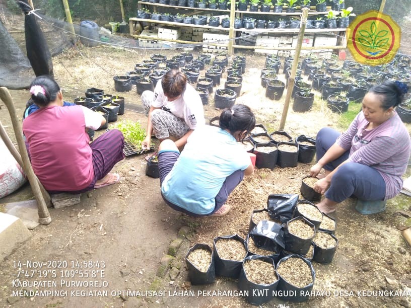 Pendampingan Penyuluh Kepada Kelompok Tani Binaan
