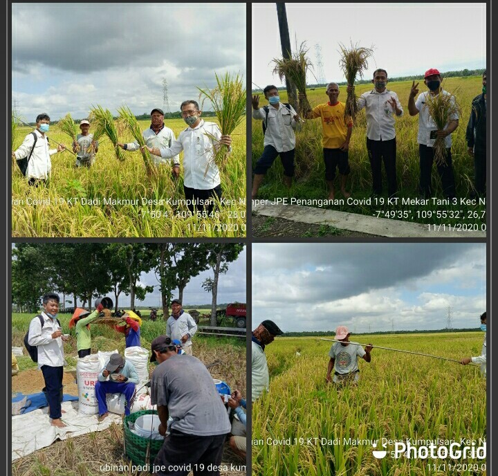 wito.jpg