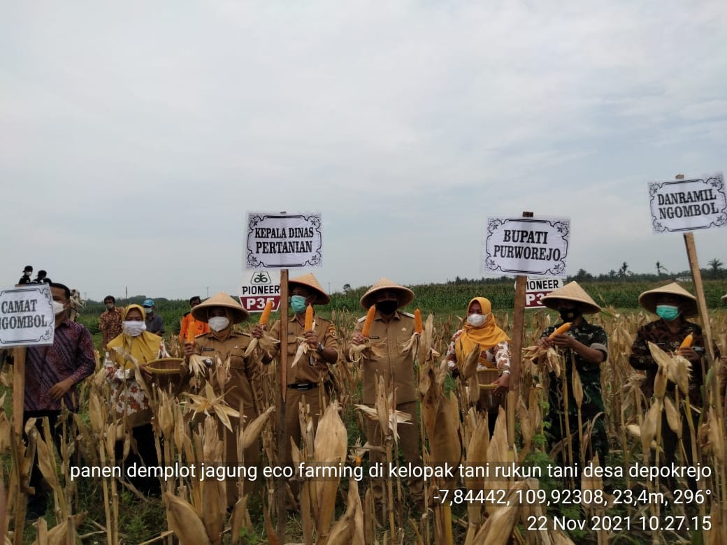 woro12.jpg